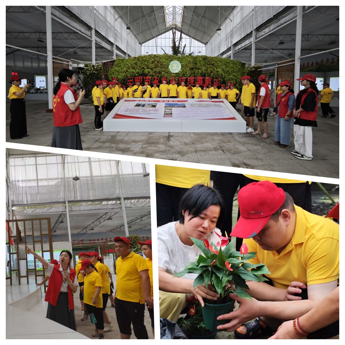 從課堂到田間：我院為殘障學員開啟科普實踐之旅